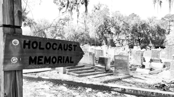 Bonaventure Cemetery by null