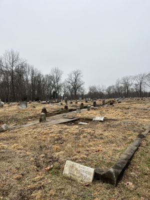 Evergreen Cemetery by null