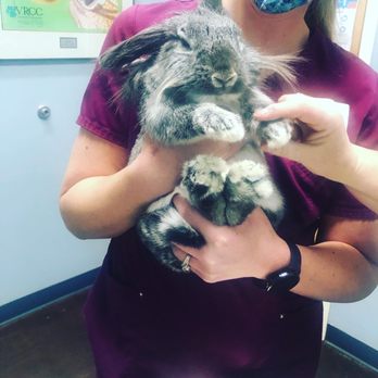 Goldenview Veterinary Hospital - Vince Neil with Kayla & Dr Kris. - Veterinarians Near Me - Golden, Colorado Goldenview Veterinary Hospital - Vince Neil with Kayla & Dr Kris. - Veterinarians Near Me - Golden, Colorado