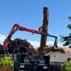 The Tree Brothers - Tree removal