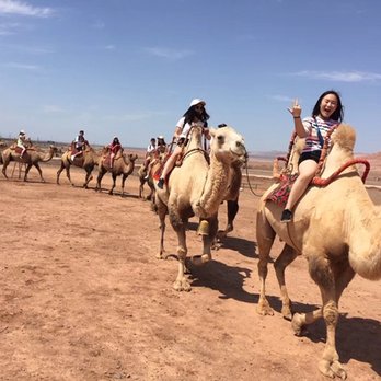 Apprentice Education - Silk Road Summer Camp - Private Tutors Near Me - Los Altos, California