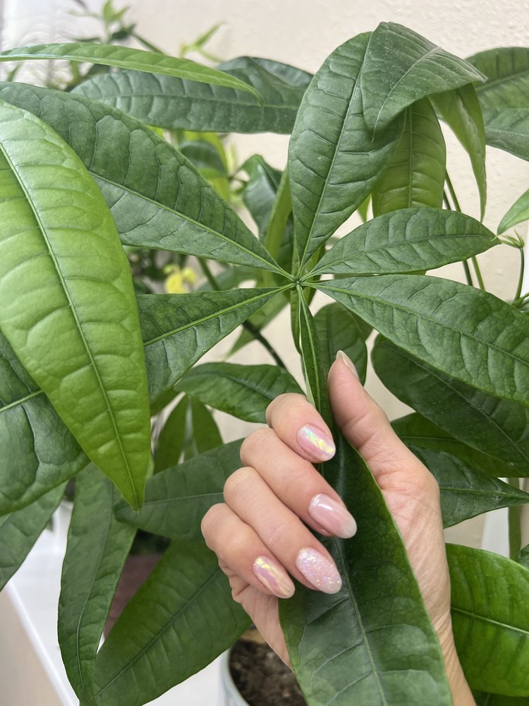 HAPPY FEET NAILS 217 Photos & 50 Reviews 13215 SE 240th St, Kent