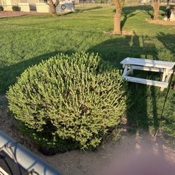 Lowe's Home Improvement - Plants are coming back to life!