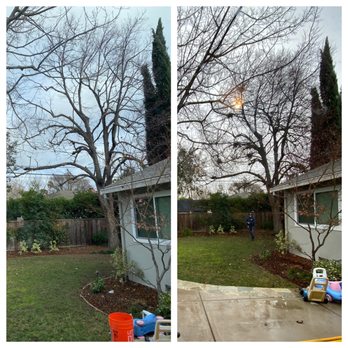 West Valley Tree Care - Tree Services Near Me - Sunnyvale, California West Valley Tree Care - Tree Services Near Me - Sunnyvale, California