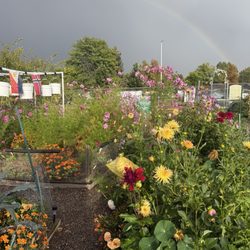 Samuels Elementary School - Community garden