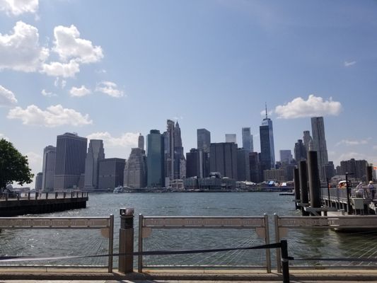 Brooklyn Bridge Park - Pier 1 by null