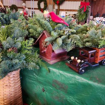 Logan Tree Farm - Christmas Trees Near Me - Portland, Oregon Logan Tree Farm - Christmas Trees Near Me - Portland, Oregon