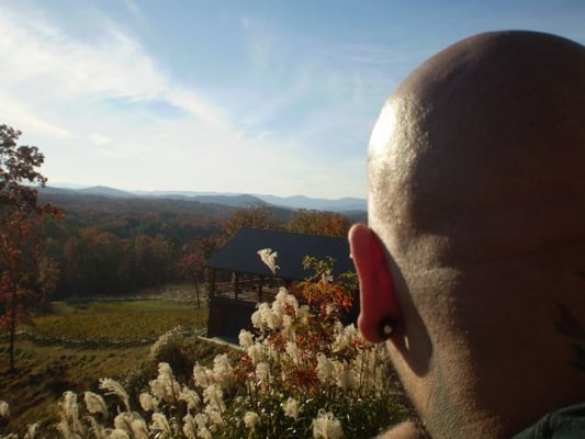 Wolf Mountain Vineyards by null