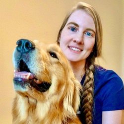 Whitelands Animal Hospital