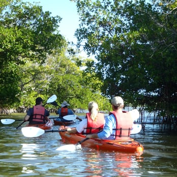 Naples Kayak - Rookery Bay Tours - Rafting/Kayaking Near Me - Naples, Florida Naples Kayak - Rookery Bay Tours - Rafting/Kayaking Near Me - Naples, Florida