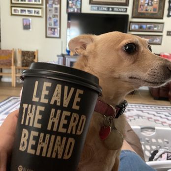 Black Sheep Coffee - Side eye. $2.50 for my treat? - Coffee & Tea Near Me - Plano, Texas Black Sheep Coffee - Side eye. $2.50 for my treat? - Coffee & Tea Near Me - Plano, Texas