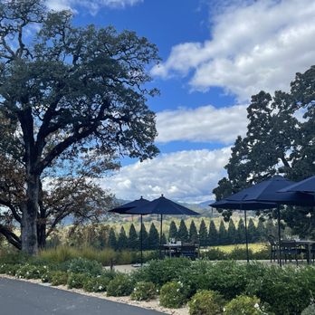 Copain Wines - Wineries Near Me - Healdsburg, California