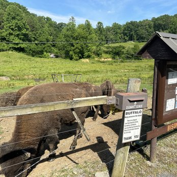 The Brown Farm - Ranches Near Me - Gatlinburg, Tennessee The Brown Farm - Ranches Near Me - Gatlinburg, Tennessee