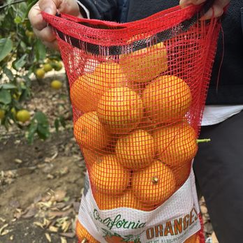 G & M Nursery - Nurseries & Gardening Near Me - Riverside, California