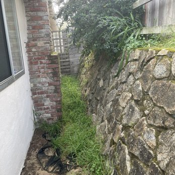 Go Green Landscaping - Landscaping Near Me Go Green Landscaping - Landscaping Near Me