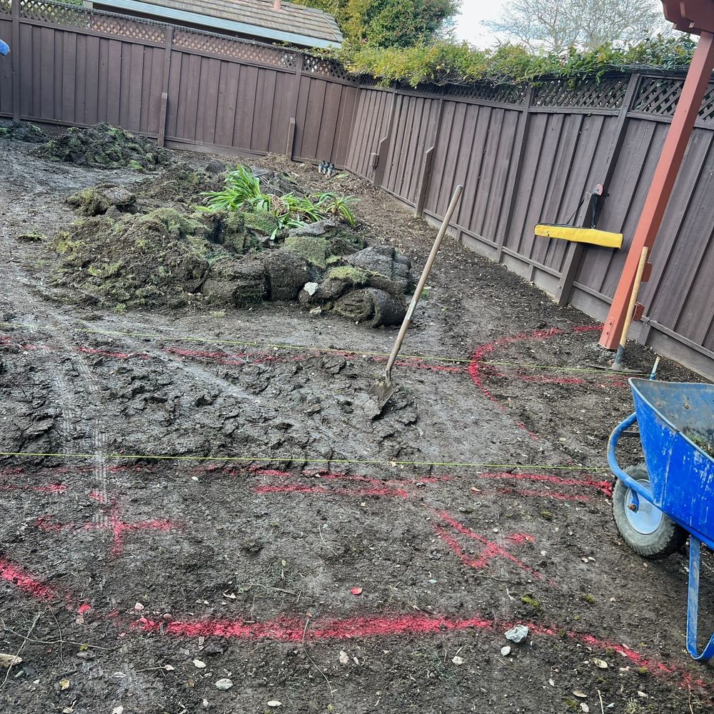Herencia Landscaping - Removing patchy grass - Landscaping Near Me Herencia Landscaping - Removing patchy grass - Landscaping Near Me