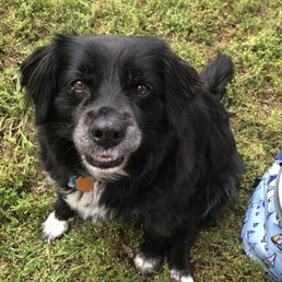 Corky smiling for a photo