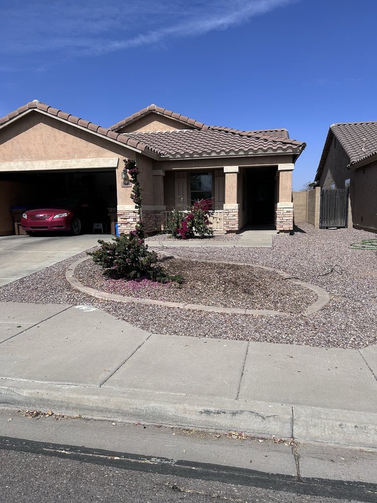 Growwith Theflow - tree service in Mesa, AZ