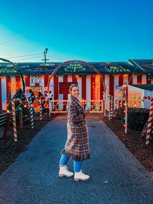 Koziar's Christmas Village by null