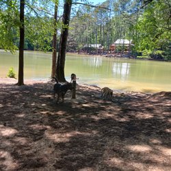 Whitewater - Dog Park