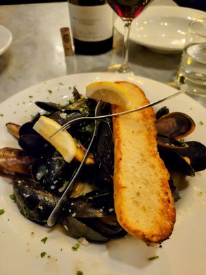 The Noble Lion by null