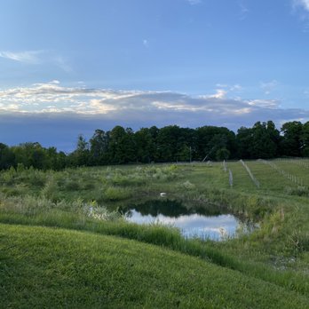 Waterfire Vineyards Torch Lake - Can't beat the view! - Wineries Near Me - Kewadin, Michigan Waterfire Vineyards Torch Lake - Can't beat the view! - Wineries Near Me - Kewadin, Michigan