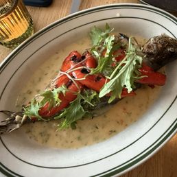 Trout Trout