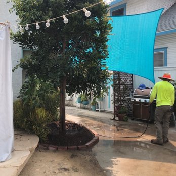Moon Valley Nurseries - Tree is in! Thank u guys! - Landscaping Near Me - Torrance, California Moon Valley Nurseries - Tree is in! Thank u guys! - Landscaping Near Me - Torrance, California