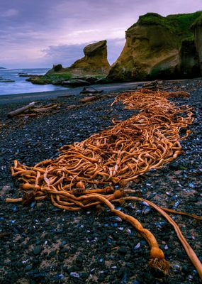 The Inn at Arch Rock by null