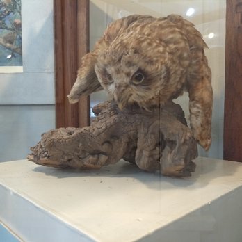 Koke'e Natural History Museum - Museums Near Me - Kekaha, Hawaii