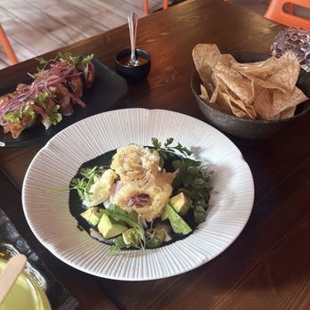 Chinaloa - Black Aguachile, Carnitas Potstickers - Asian Fusion Near Me - Brooklyn, New York
