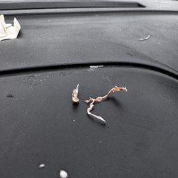 Plastic sucked out of straw
