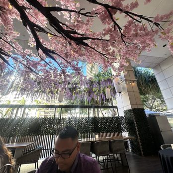 House of Sakura - Their dining area Under the Sakura tree in the early evening - Japanese Near Me - Honolulu, Hawaii