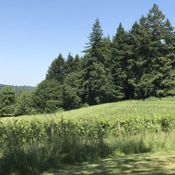 King's Raven Winery - Wineries Near Me - Oregon City, Oregon King's Raven Winery - Wineries Near Me - Oregon City, Oregon