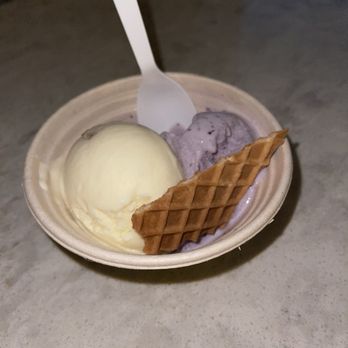 Bright Ice - Graham Cracker Cookie with "Key Lime Ice Cream" Ice Cream Sandwich Pint of "Blueberries with Cinnamon" Ice Cream - Ice Cream & Frozen Yogurt Near Me - Tampa Bay, Florida