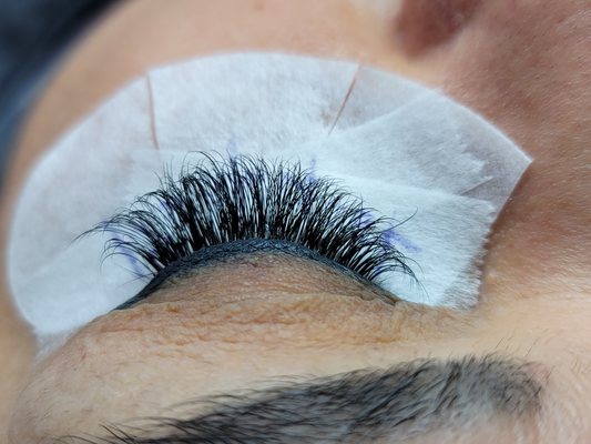 Virtue Lash by null