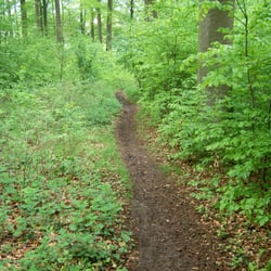 Gaststätte Waldwinkel - Verträumte Pfade - relexing