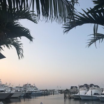 Sunset Grille - Gorgeous view - Seafood Near Me - Ocean City, Maryland Sunset Grille - Gorgeous view - Seafood Near Me - Ocean City, Maryland