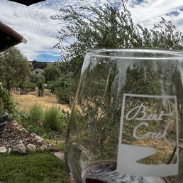 Glass of delicious wine Glass of delicious wine