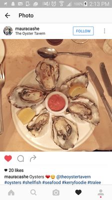 The Oyster Tavern Tralee Co.Kerry by null