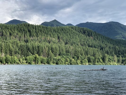 Rattlesnake Lake by null