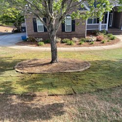 The Lawn Guys