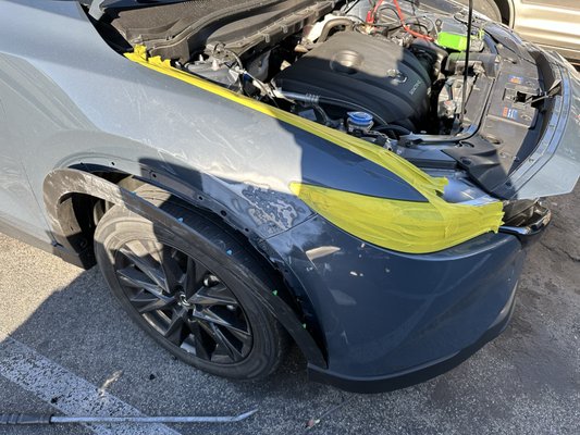 Pacific Crest Collision on Yelp