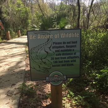 Sweetwater Wetlands Park - Lots of wildlife! - Hiking Near Me - Gainesville, Florida Sweetwater Wetlands Park - Lots of wildlife! - Hiking Near Me - Gainesville, Florida