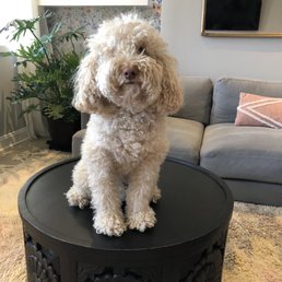 Before haircut Before haircut