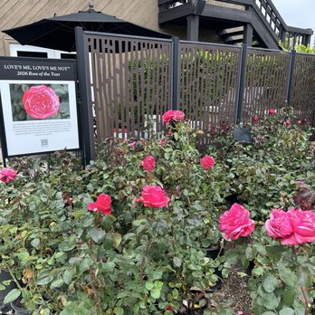 Roger's Gardens - Nurseries & Gardening Near Me - Corona Del Mar, California