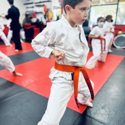 USSD Karate Irvine