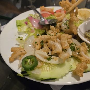 KL Dragon House - Salt pepper squid - Pan Asian Near Me - Austin, Texas