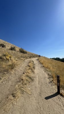 Camel’s Back Park by null