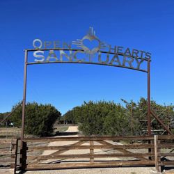 Open Hearts Yoga Sanctuary 